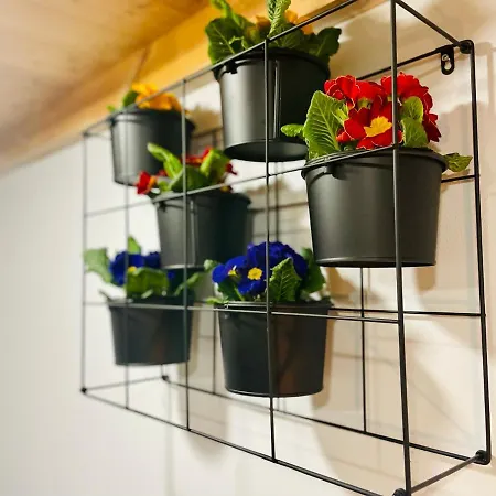 Sebastiana Old Town * 克拉科夫