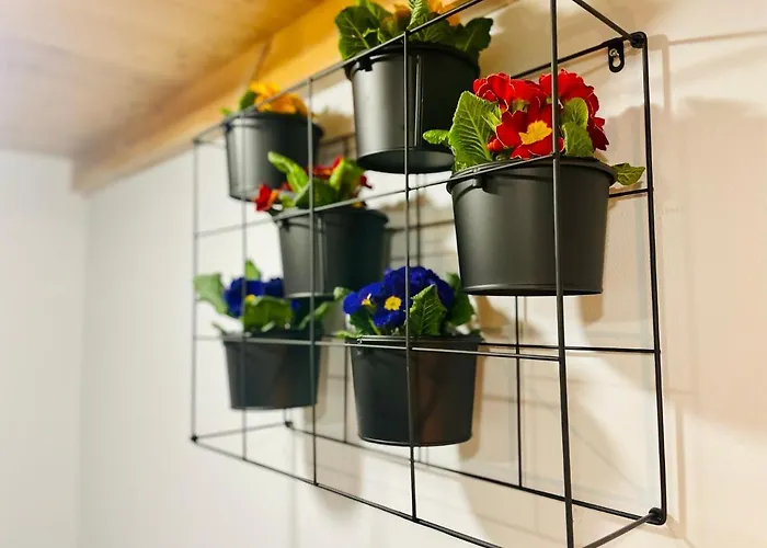 Sebastiana Old Town * 크라쿠프